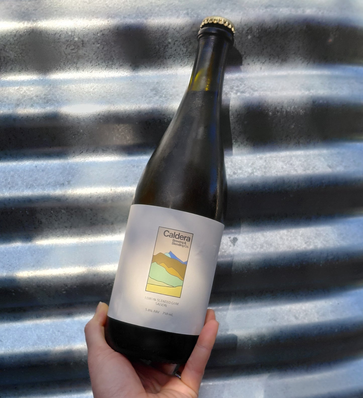Lemon-scented Gum | 5.8 % ABV | 750 mL