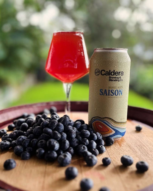 Blueberry & Mulberry Saison 7.2% ABV - 440 mL - 4 Pack