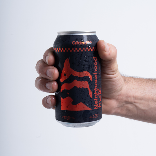 Neighbourhood Froth Issue #2 Dark Ale | 7.8% ABV | 375 mL