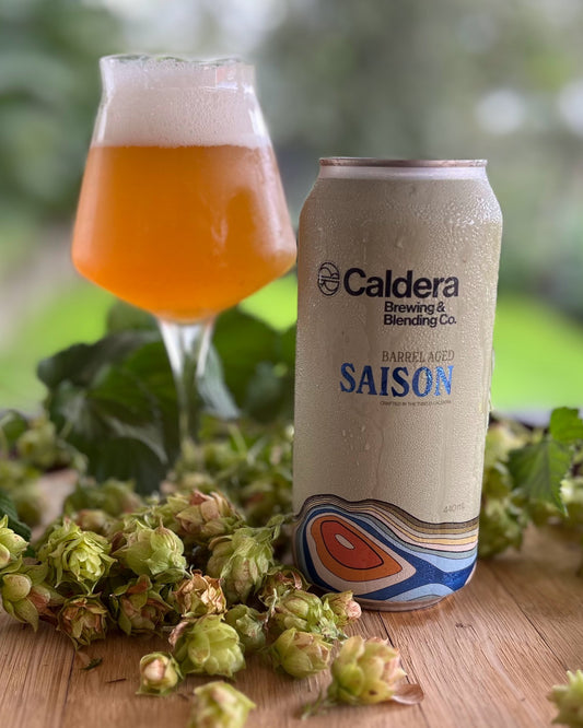 Saison Dry Hopped w/ Czech Saaz 6.4% ABV - 440 mL - 4 Pack